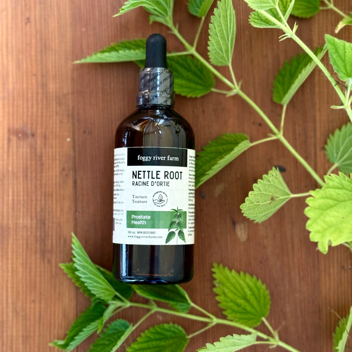 Nettle Root Tincture | Prostate Health